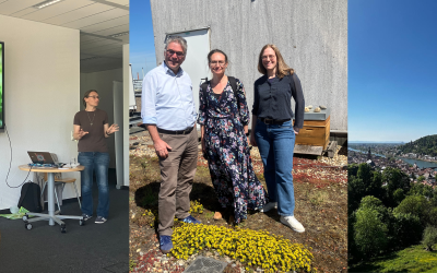 Exploring Digital ESD, Transformative Pedagogies and SEED Collaboration at Heidelberg University of Education